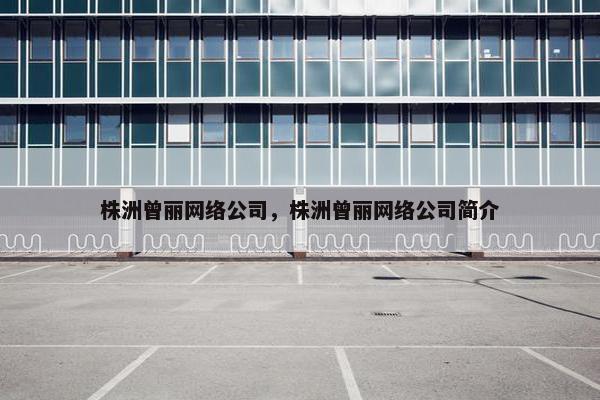 株洲曾丽网络公司，株洲曾丽网络公司简介