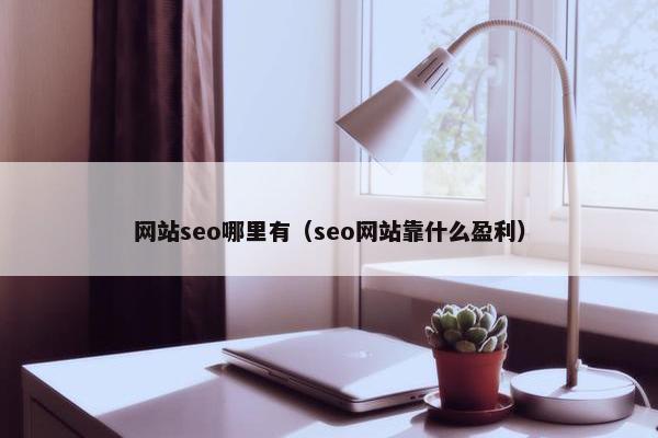 网站seo哪里有（seo网站靠什么盈利）