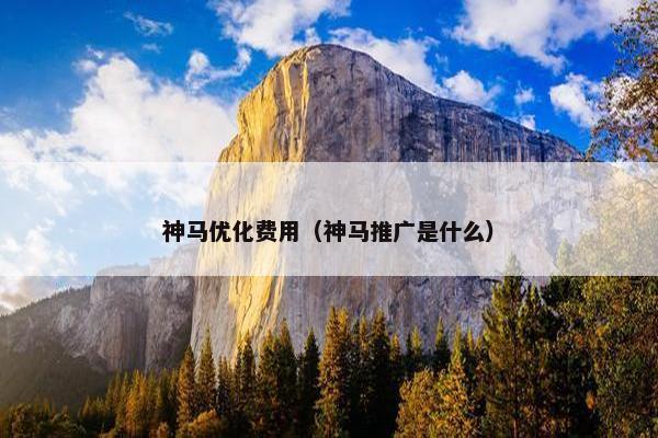 神马优化费用（神马推广是什么）