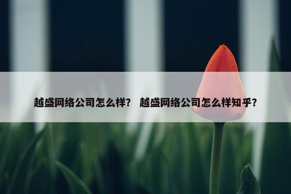 越盛网络公司怎么样？ 越盛网络公司怎么样知乎？