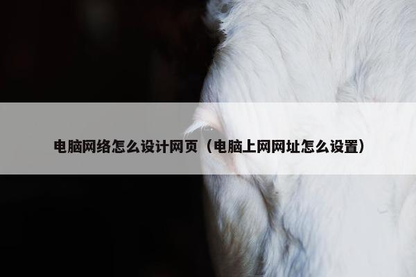 电脑网络怎么设计网页（电脑上网网址怎么设置）