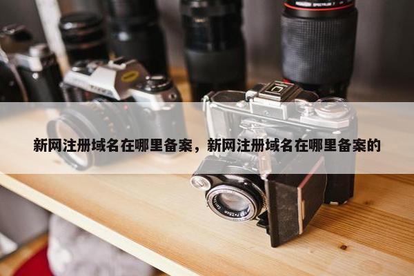 新网注册域名在哪里备案，新网注册域名在哪里备案的