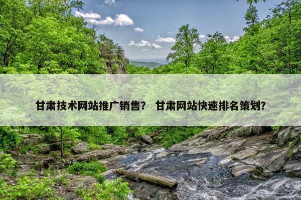甘肃技术网站推广销售？ 甘肃网站快速排名策划？
