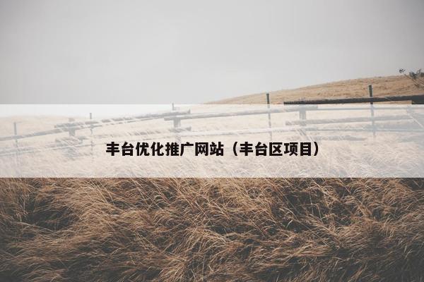 丰台优化推广网站（丰台区项目）