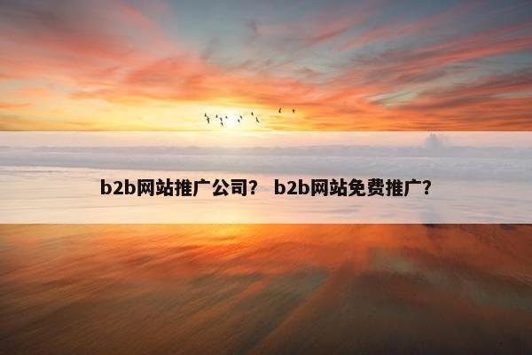 b2b网站推广公司？ b2b网站免费推广？