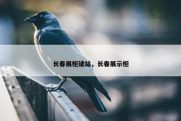 长春展柜建站，长春展示柜
