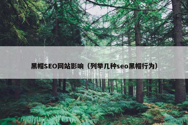 黑帽SEO网站影响（列举几种seo黑帽行为）
