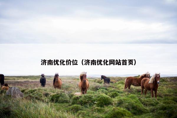 济南优化价位（济南优化网站首页）