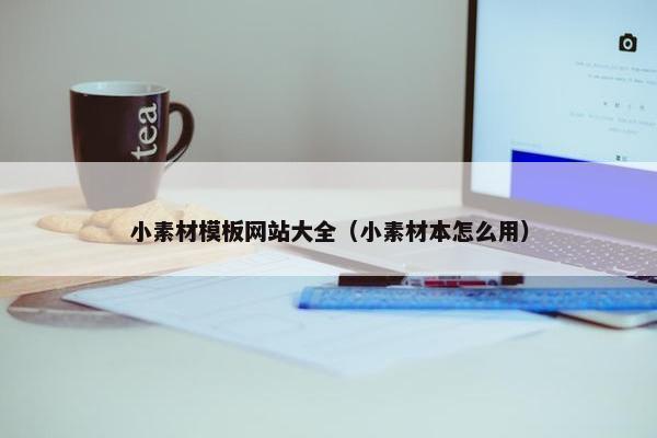 小素材模板网站大全（小素材本怎么用）