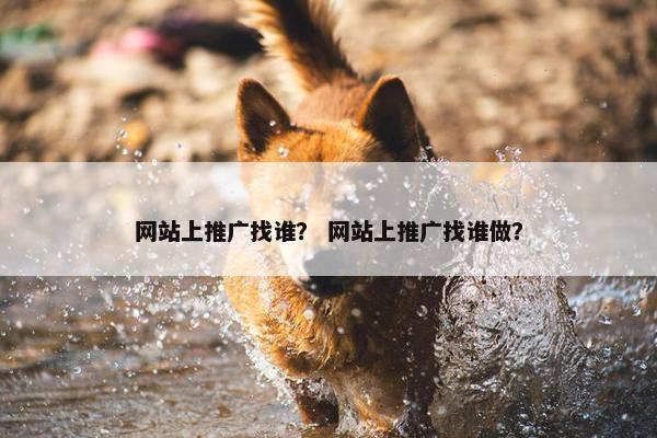 网站上推广找谁？ 网站上推广找谁做？