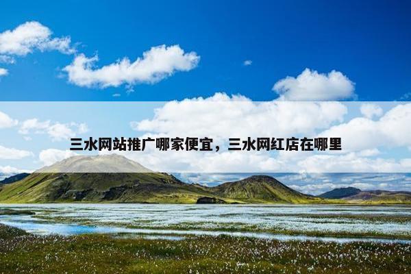 三水网站推广哪家便宜，三水网红店在哪里