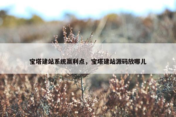 宝塔建站系统赢利点，宝塔建站源码放哪儿