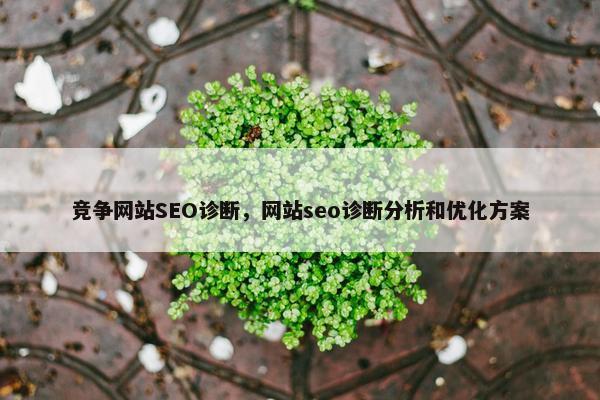 竞争网站SEO诊断，网站seo诊断分析和优化方案