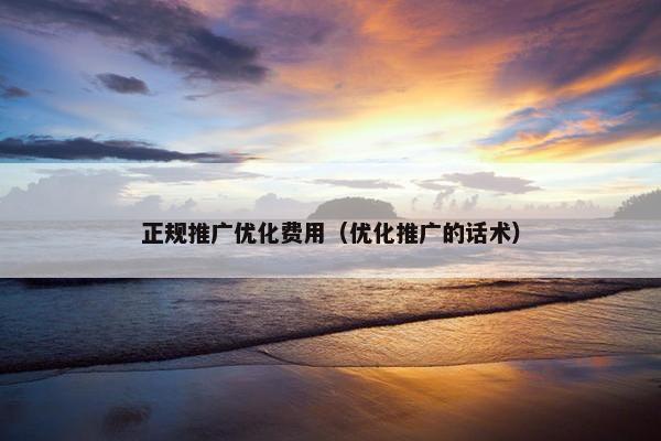 正规推广优化费用（优化推广的话术）