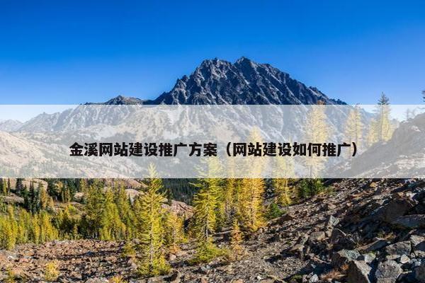 金溪网站建设推广方案（网站建设如何推广）