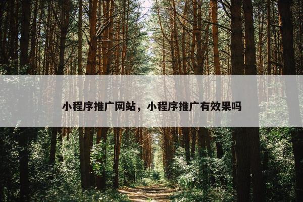 小程序推广网站，小程序推广有效果吗