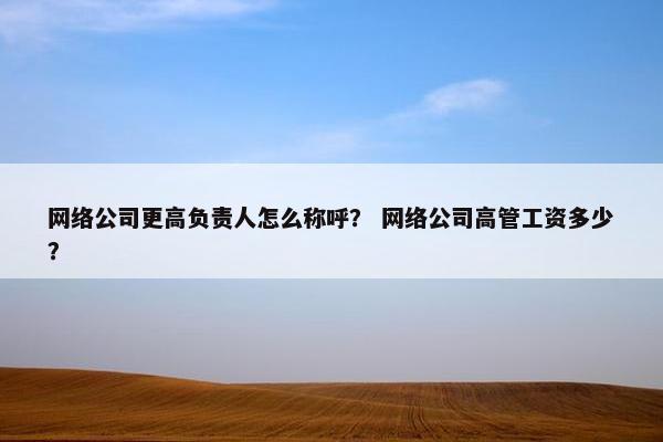 网络公司更高负责人怎么称呼？ 网络公司高管工资多少？