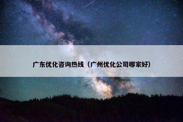 广东优化咨询热线（广州优化公司哪家好）