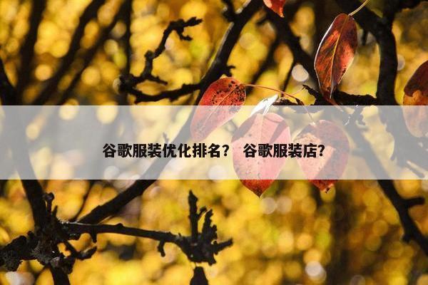 谷歌服装优化排名？ 谷歌服装店？