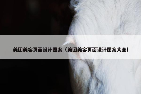 美团美容页面设计图案（美团美容页面设计图案大全）