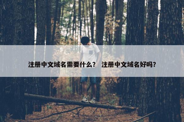 注册中文域名需要什么？ 注册中文域名好吗？