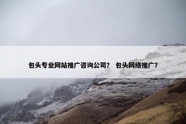 包头专业网站推广咨询公司？ 包头网络推广？