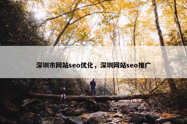 深圳市网站seo优化，深圳网站seo推广