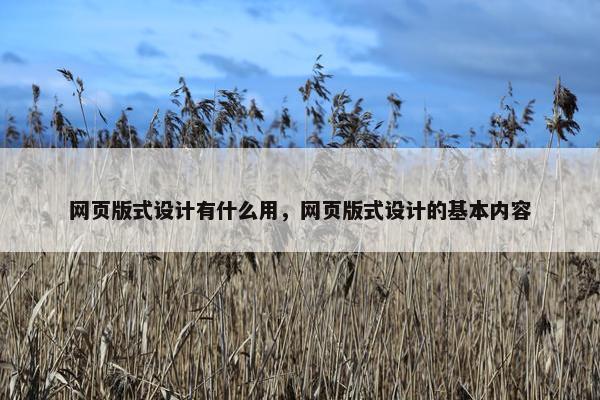 网页版式设计有什么用，网页版式设计的基本内容