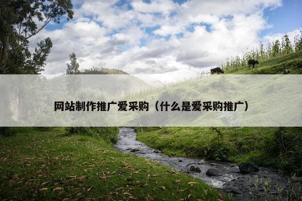 网站制作推广爱采购（什么是爱采购推广）