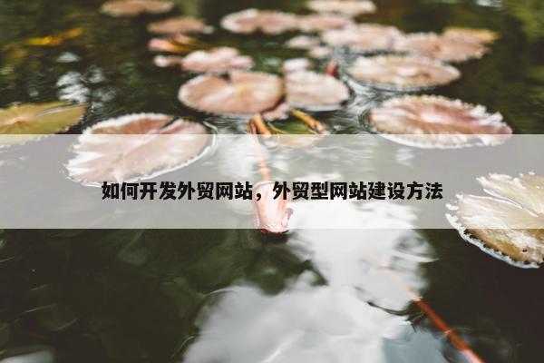 如何开发外贸网站，外贸型网站建设方法