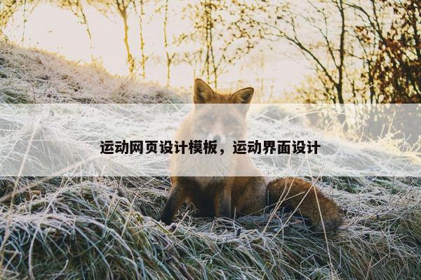 运动网页设计模板，运动界面设计