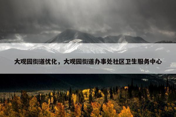 大观园街道优化，大观园街道办事处社区卫生服务中心