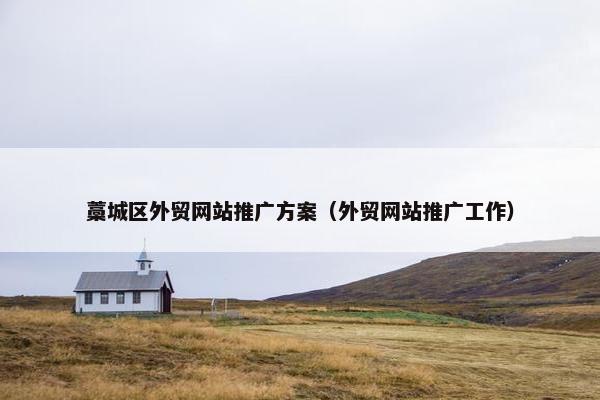 藁城区外贸网站推广方案（外贸网站推广工作）