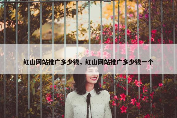 红山网站推广多少钱，红山网站推广多少钱一个