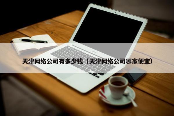 天津网络公司有多少钱（天津网络公司哪家便宜）