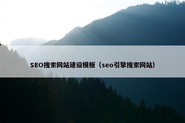SEO搜索网站建设模板（seo引擎搜索网站）