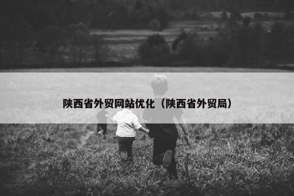 陕西省外贸网站优化（陕西省外贸局）