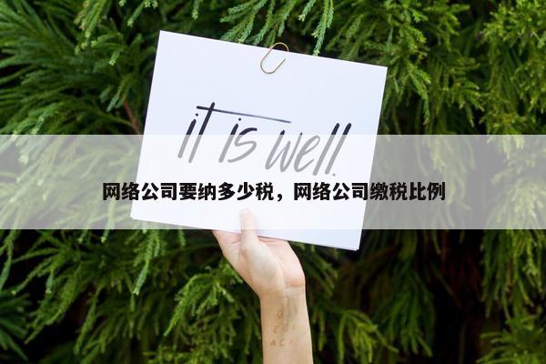 网络公司要纳多少税，网络公司缴税比例