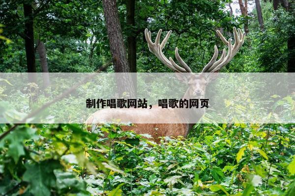 制作唱歌网站，唱歌的网页