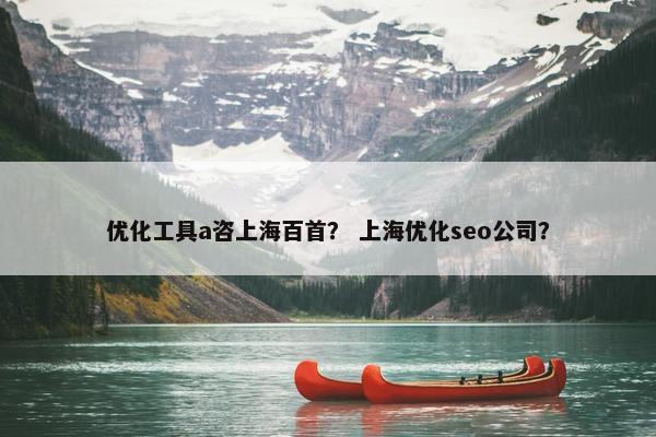 优化工具a咨上海百首？ 上海优化seo公司？