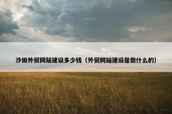 沙田外贸网站建设多少钱（外贸网站建设是做什么的）