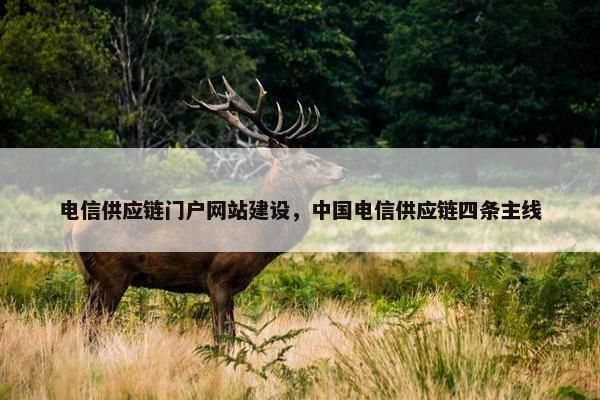 电信供应链门户网站建设，中国电信供应链四条主线