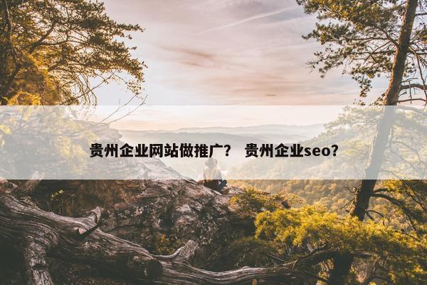 贵州企业网站做推广？ 贵州企业seo？