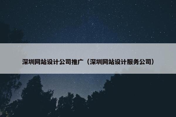 深圳网站设计公司推广（深圳网站设计服务公司）