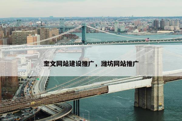 奎文网站建设推广，潍坊网站推广