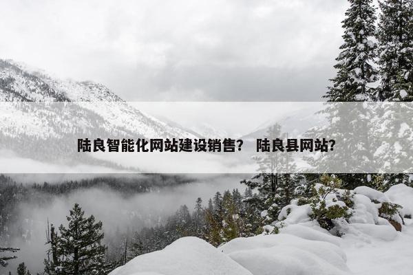 陆良智能化网站建设销售？ 陆良县网站？