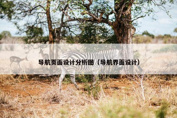 导航页面设计分析图（导航界面设计）