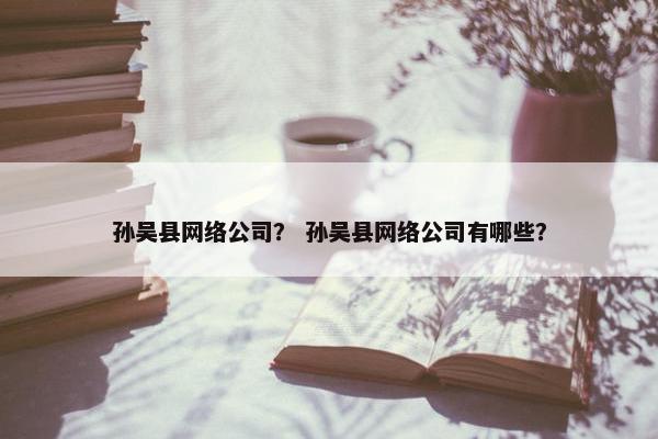 孙吴县网络公司？ 孙吴县网络公司有哪些？
