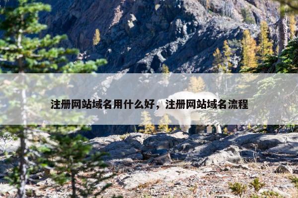 注册网站域名用什么好，注册网站域名流程