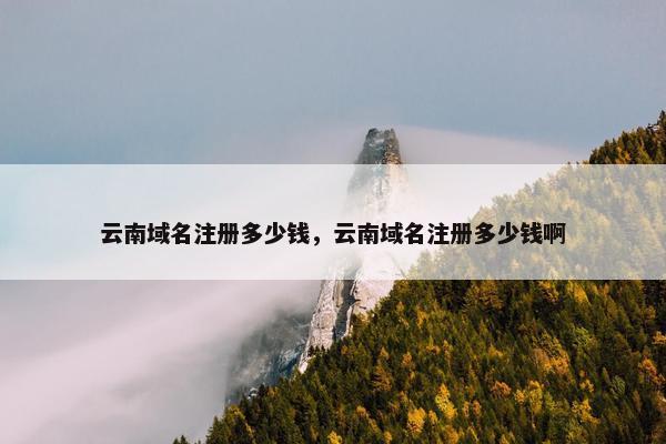 云南域名注册多少钱，云南域名注册多少钱啊